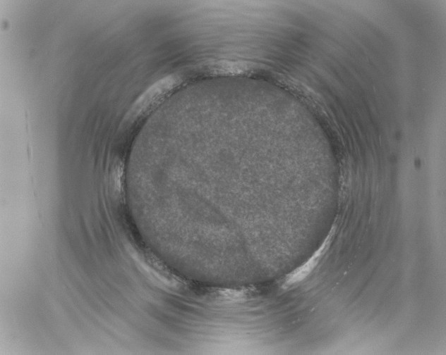 X0000061730166200512302155