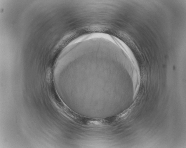 X0000061730167200512302155