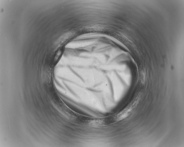 X0000061730168200512302155