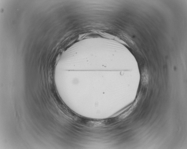 X0000061730170200512302155