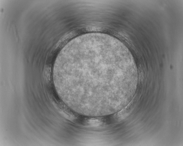 X0000061730171200512302155