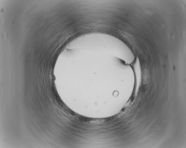 X0000061730172200512302155