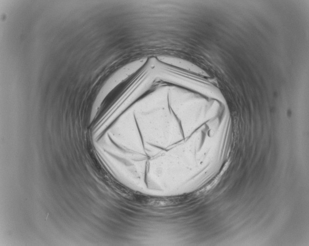 X0000061730174200512302155