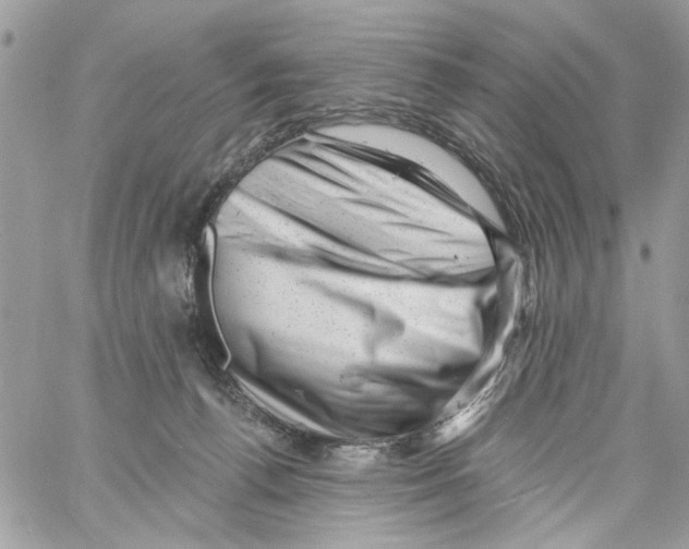 X0000061730176200512302155