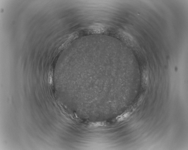 X0000061730177200512302155