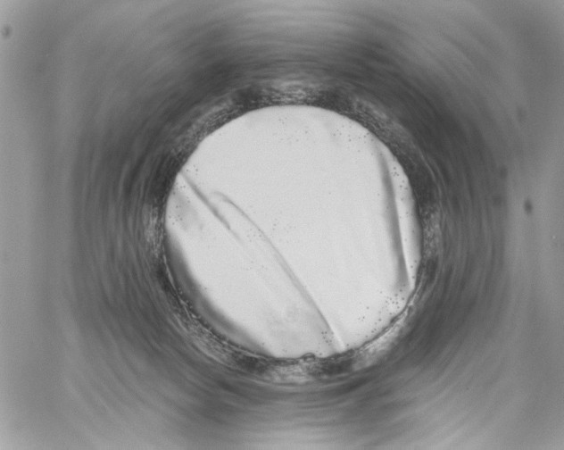 X0000061730178200512302155