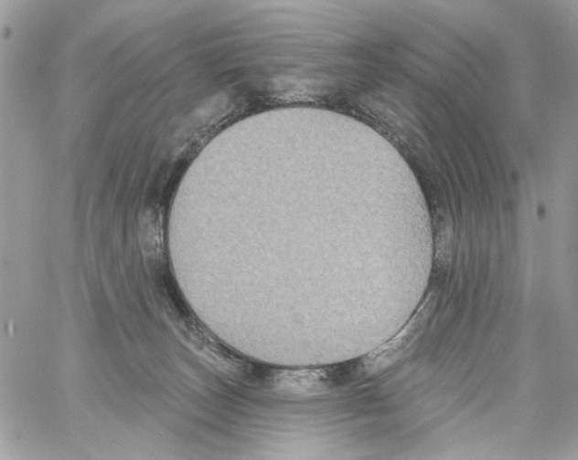 X0000061730179200512302155