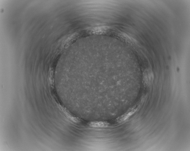 X0000061730181200512302155