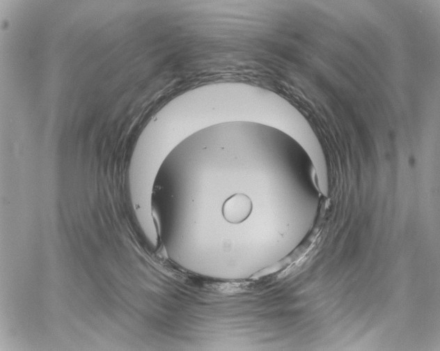 X0000061730184200512302155