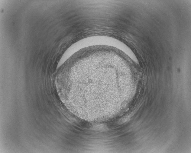 X0000061730185200512302155