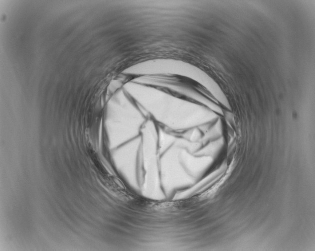 X0000061730186200512302155