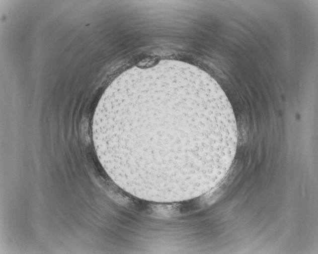 X0000061730187200512302155