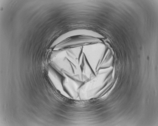 X0000061730190200512302155