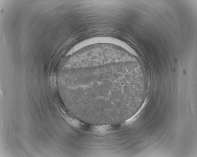 X0000061730191200512302155