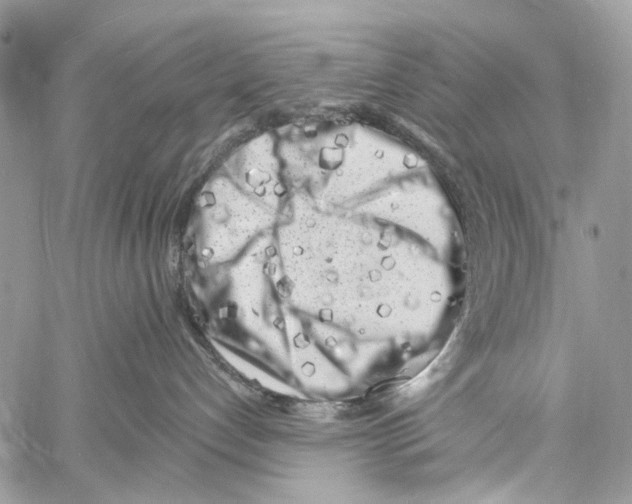 X0000061730192200512302155