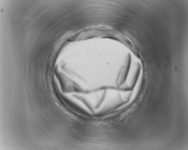 X0000061730193200512302154