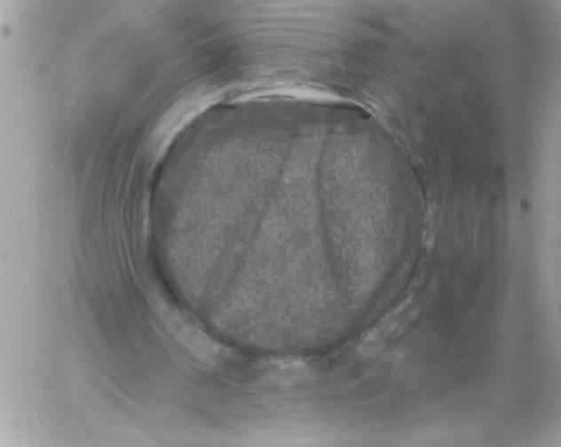 X0000061730194200512302154