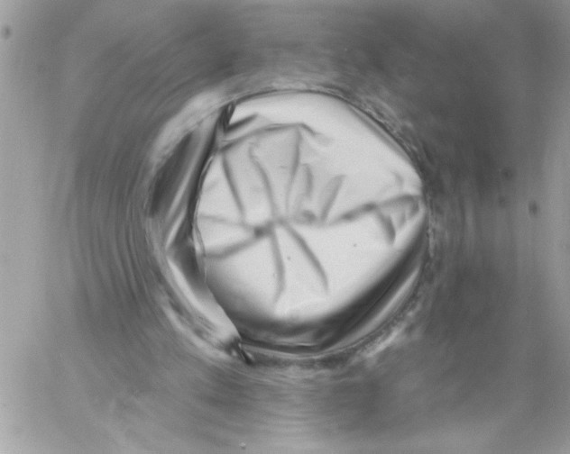 X0000061730197200512302154