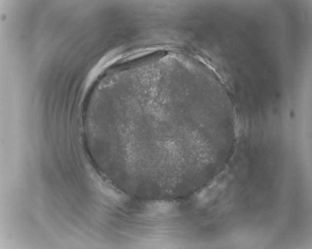 X0000061730198200512302154