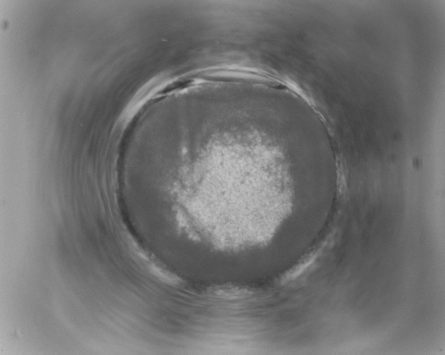 X0000061730199200512302154