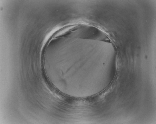 X0000061730200200512302154