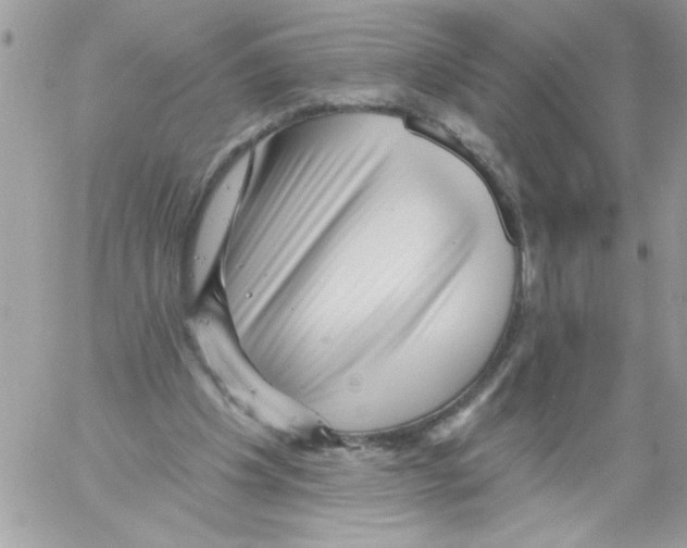 X0000061730201200512302154