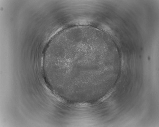 X0000061730202200512302154