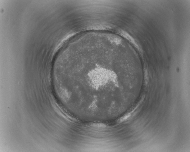 X0000061730203200512302154