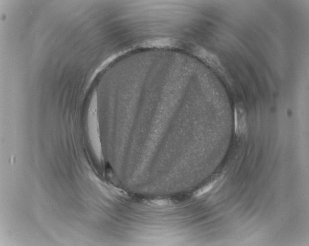 X0000061730204200512302154