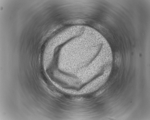 X0000061730206200512302154