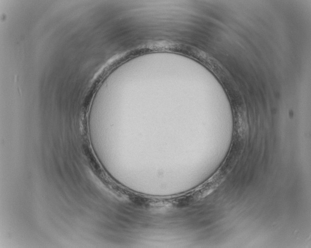 X0000061730208200512302154