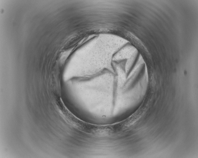 X0000061730209200512302154