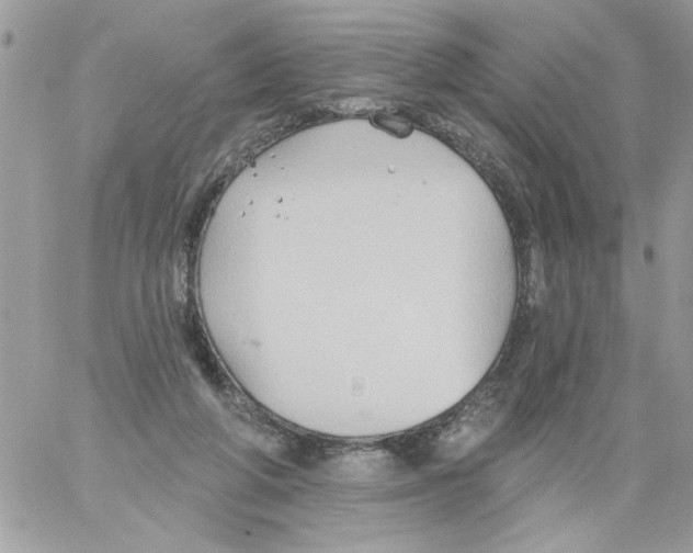 X0000061730210200512302154