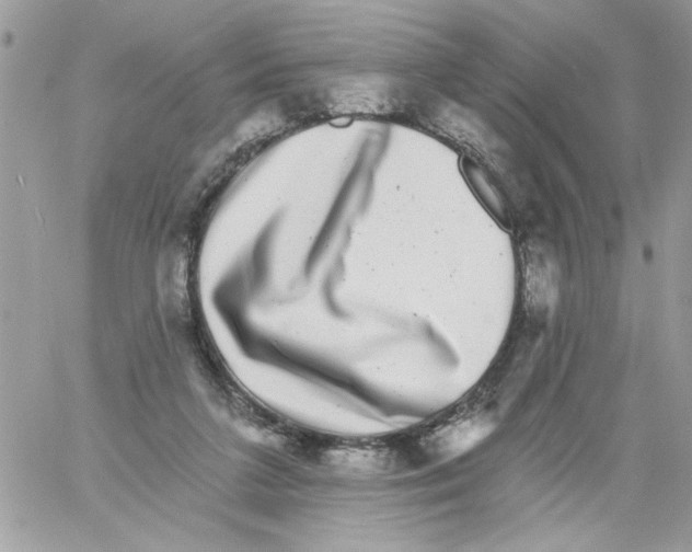 X0000061730211200512302154