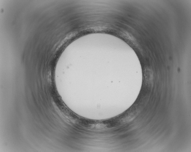 X0000061730212200512302154