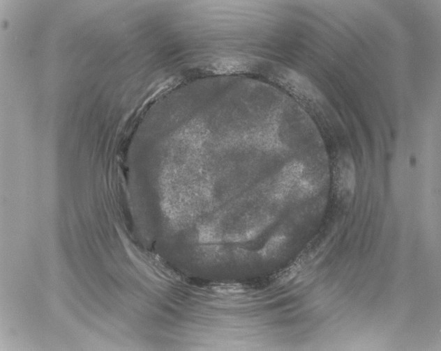 X0000061730214200512302154