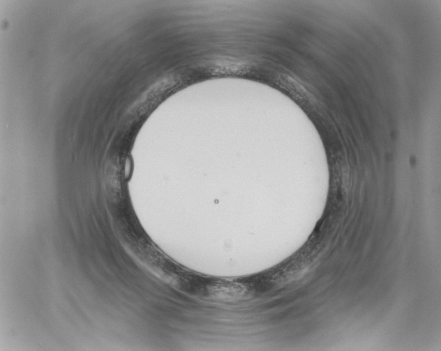 X0000061730215200512302154