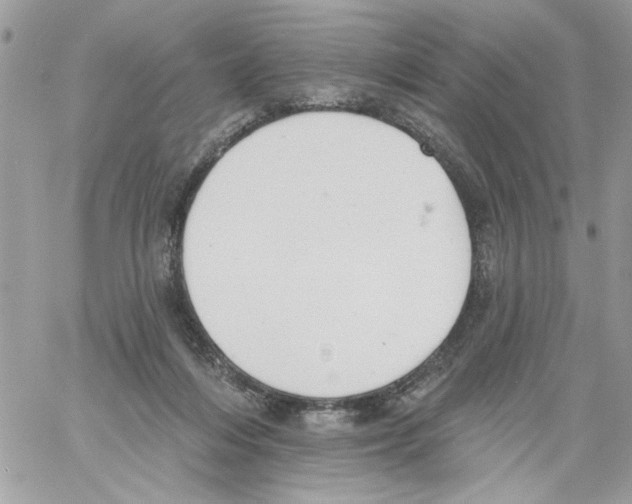 X0000061730216200512302154