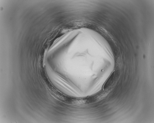 X0000061730217200512302154