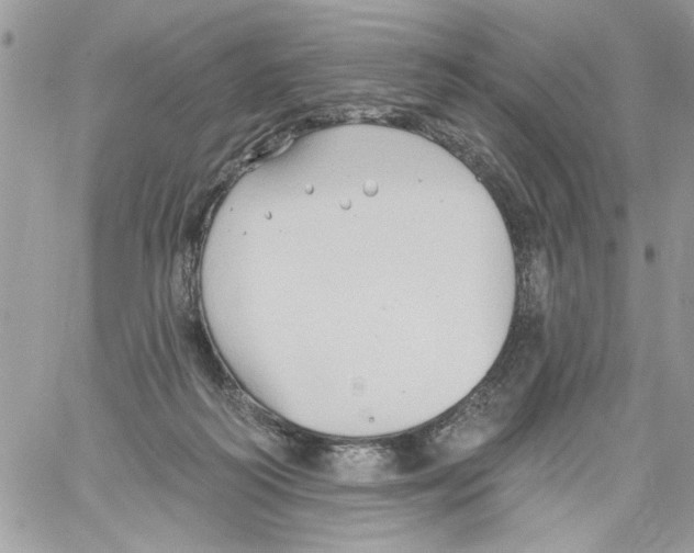 X0000061730218200512302154