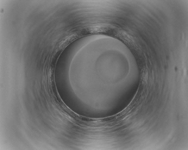 X0000061730219200512302154