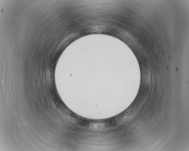 X0000061730220200512302154