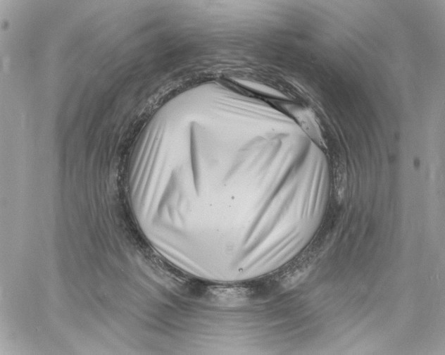 X0000061730221200512302154