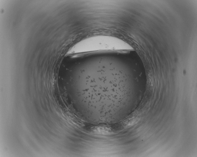 X0000061730223200512302154