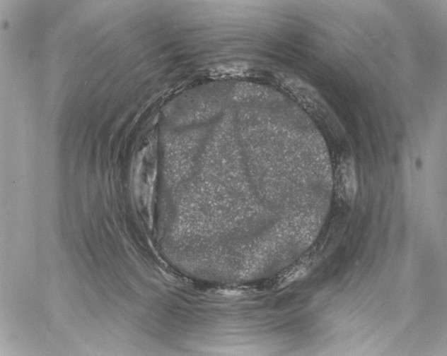 X0000061730224200512302154