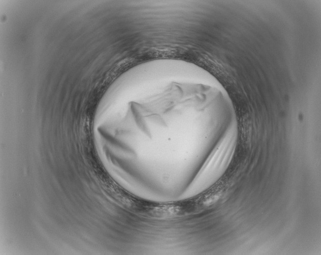 X0000061730225200512302154