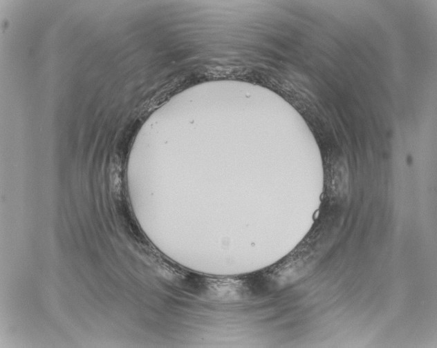 X0000061730226200512302154