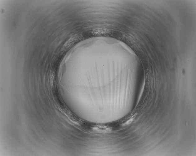 X0000061730227200512302154