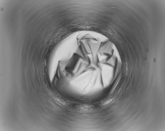 X0000061730229200512302154