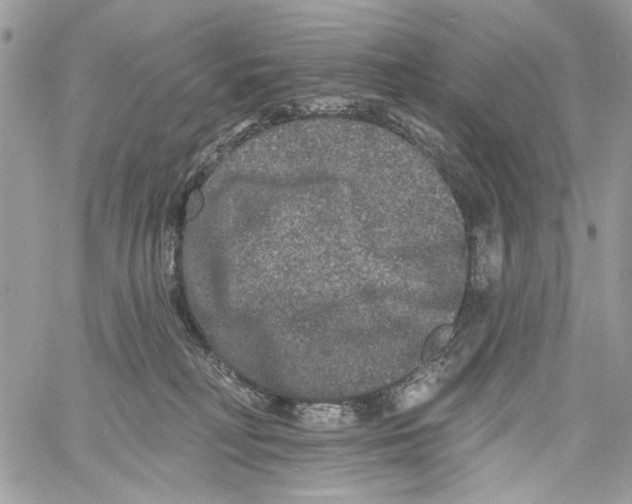 X0000061730230200512302154